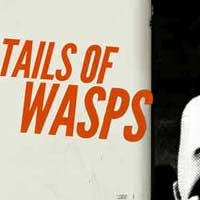 Tails of Wasps